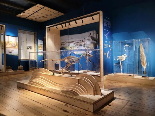 Retour en image sur les travaux de scénographie/ muséographie au Musée Henri Lecoq à Clermont-Ferrand.
#scenographie #muséographie #musée #clermontferrand #museehenrilecoq #architecture #architecte #atelierdarchitecturecasa #ateliercasa #exposition 
@agreestudio
@clermontauvergnemetropole