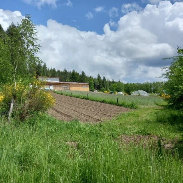 L'extension de la ferme de chandalon à Arconsat livrée depuis quelques semaines. Encore quelques réserves pour acter la réception.  Chantier pour Thiers Dore et Montagnes.
#extension #ferme #chandalon #tdm #maraîchers #atelierdarchitecturecasa